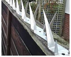Wall Spikes